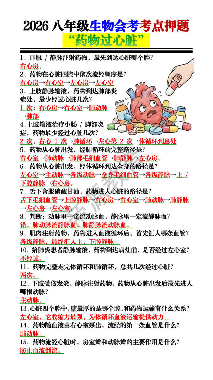 2026八年级生物会考考点押题——“药物过心脏” 2026八年级生物会考考点押题——“药物过心脏”
