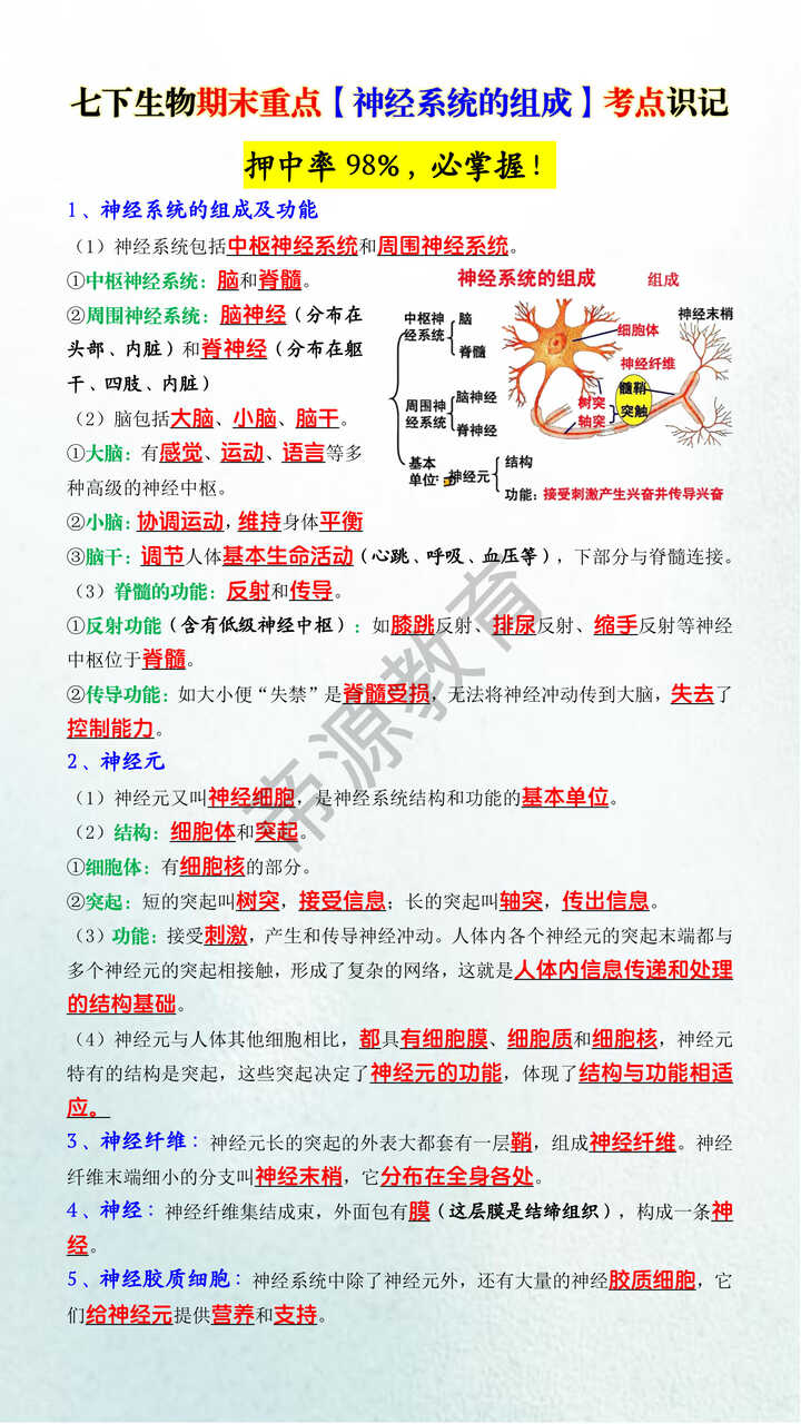 七下生物期末重点【神经系统的组成】考点识记