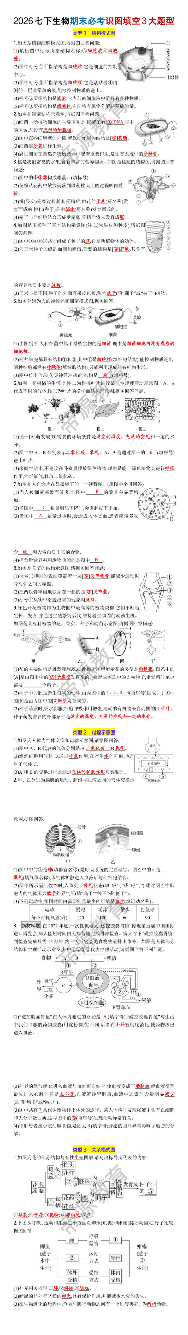2026七下生物期末必考识图填空3大题型 2026七下生物期末必考识图填空3大题型