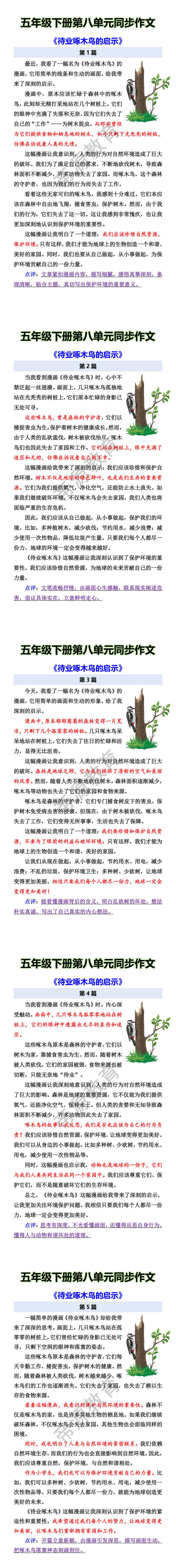 五年级下册第八单元同步作文 《待业啄木鸟的启示》 五年级下册第八单元同步作文 《待业啄木鸟的启示》