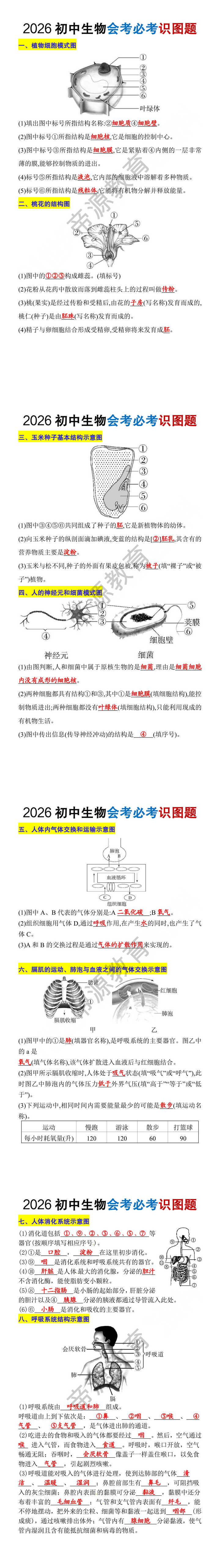 2026初中生物会考必考识图题 2026初中生物会考必考识图题