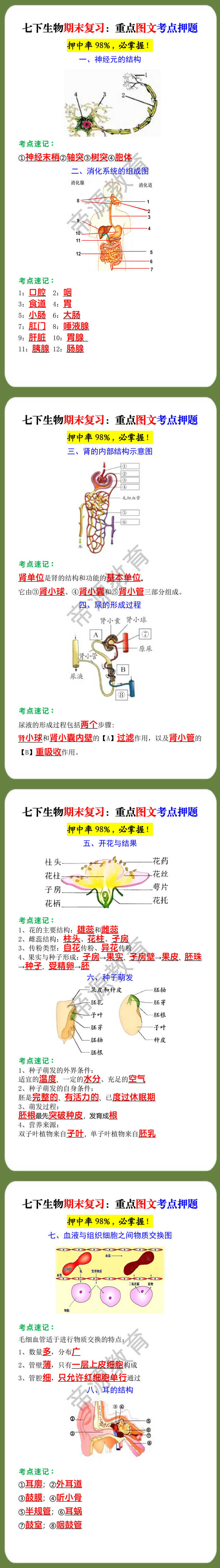 七下生物期末复习：重点图文考点押题