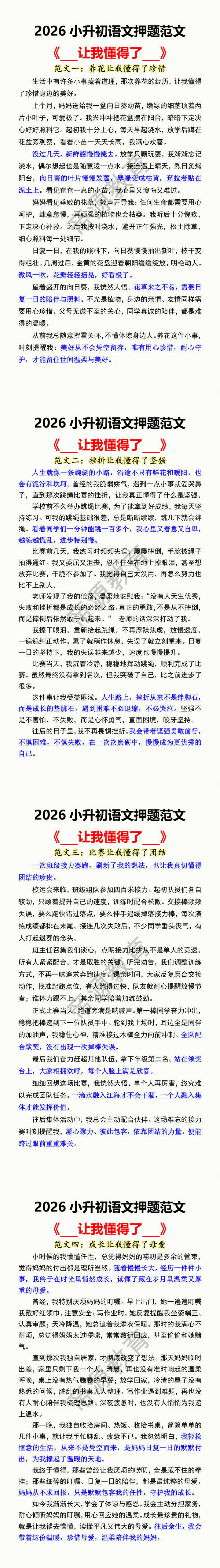 2026小升初语文押题范文