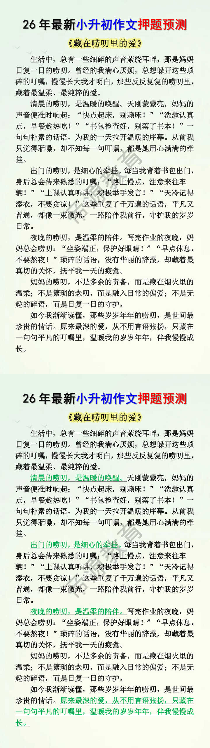 26年最新小升初作文押题预测 26年最新小升初作文押题预测