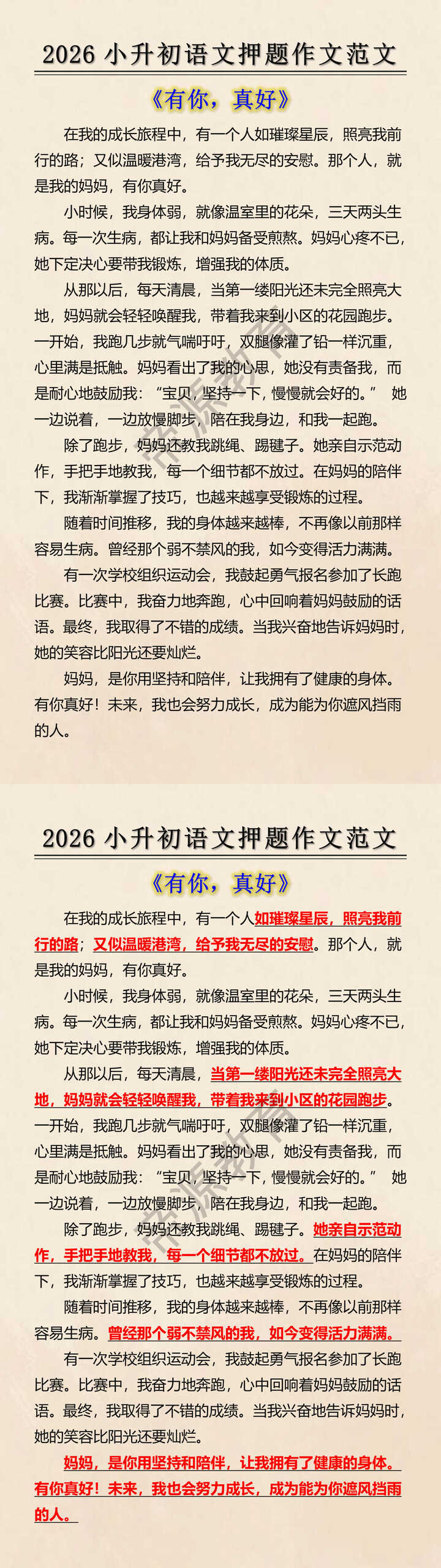2026小升初语文押题作文范文 2026小升初语文押题作文范文