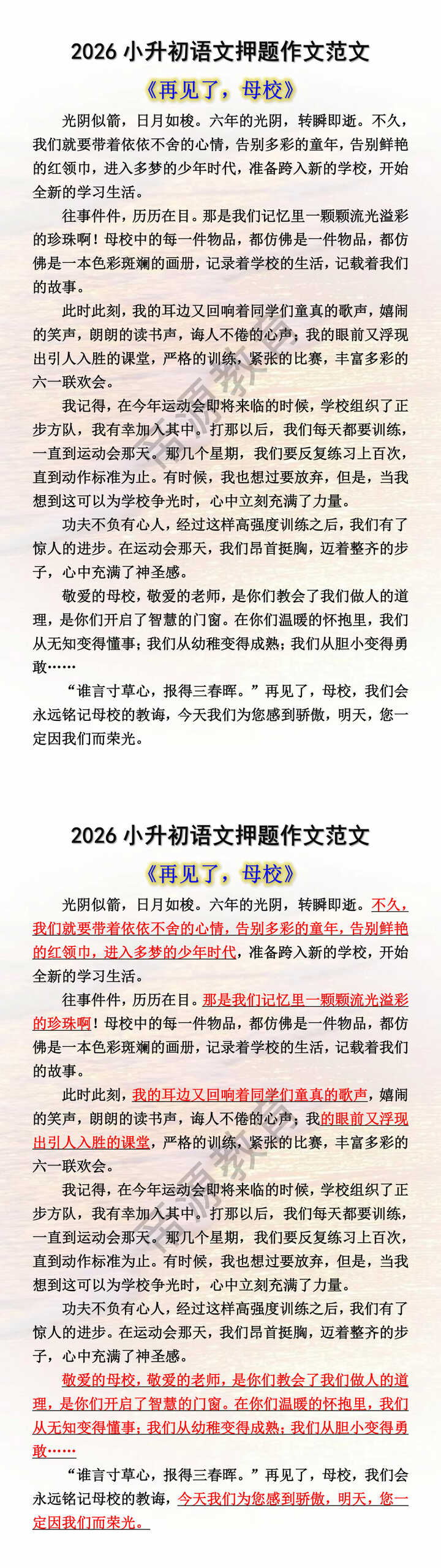 2026小升初语文押题作文范文 2026小升初语文押题作文范文