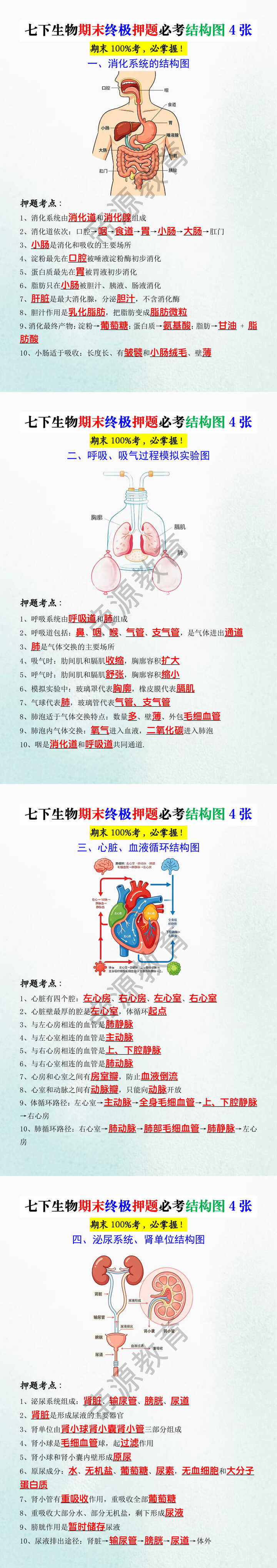 七下生物期末终极押题必考结构图4张