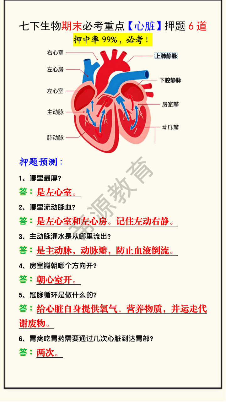 七下生物期末必考重点【心脏】押题6道