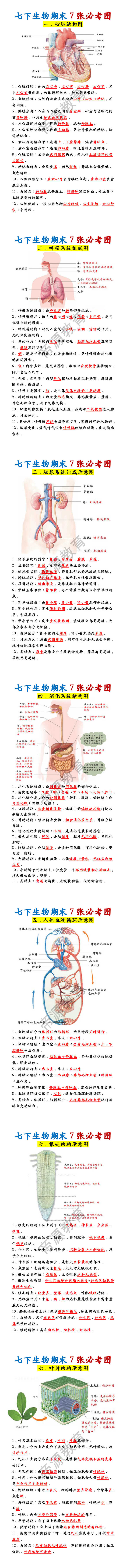 七下生物期末7张必考图