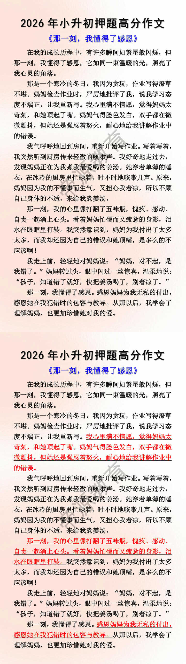 2026年小升初押题高分作文