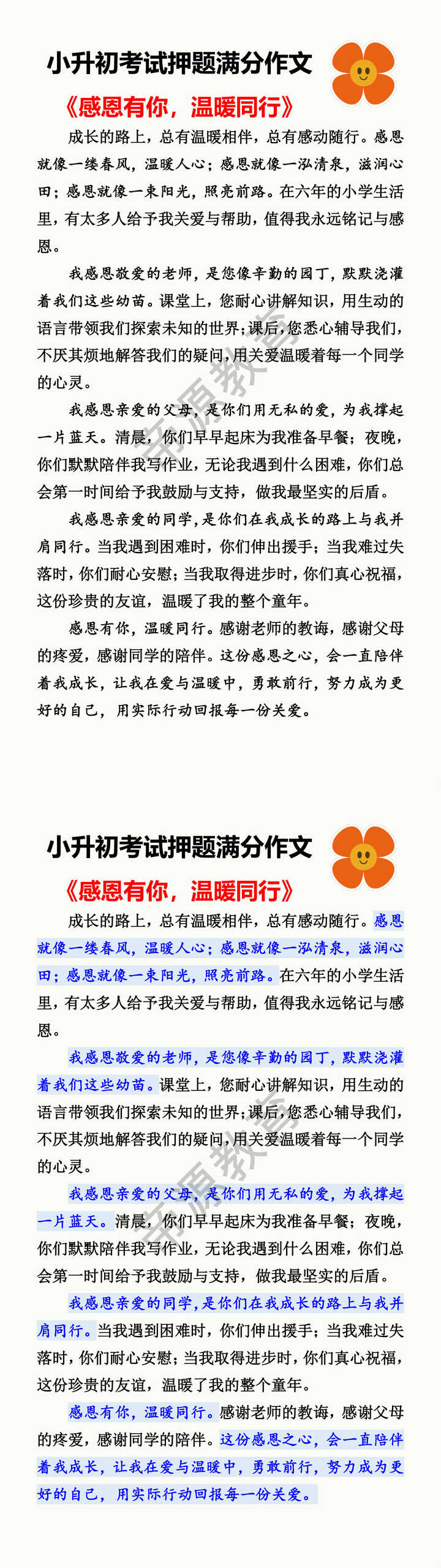 小升初考试押题满分作文 《感恩有你，温暖同行》