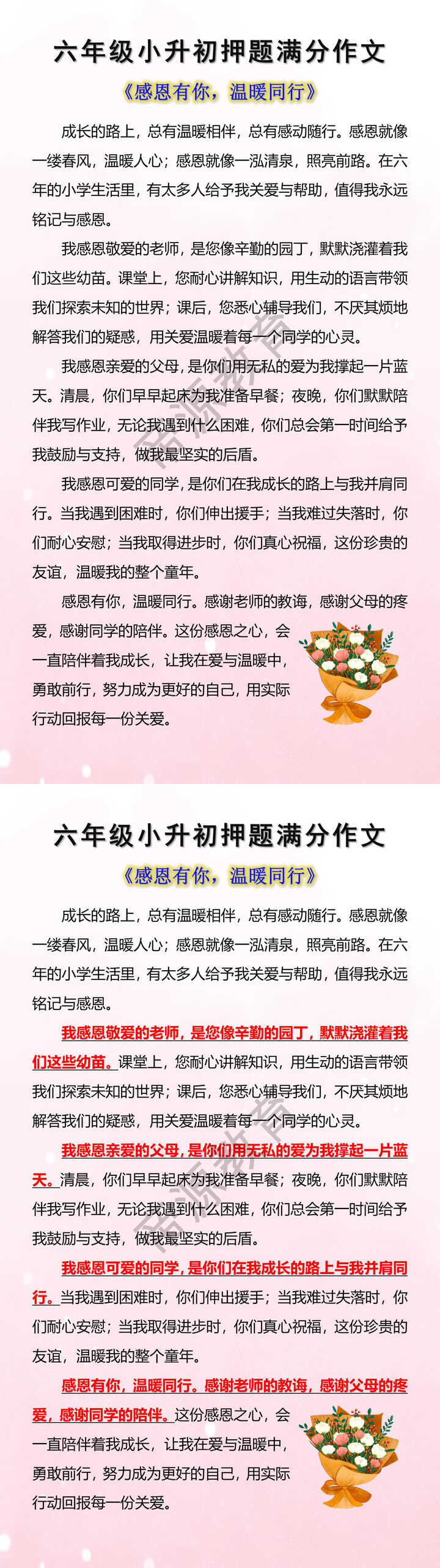 六年级小升初押题满分作文