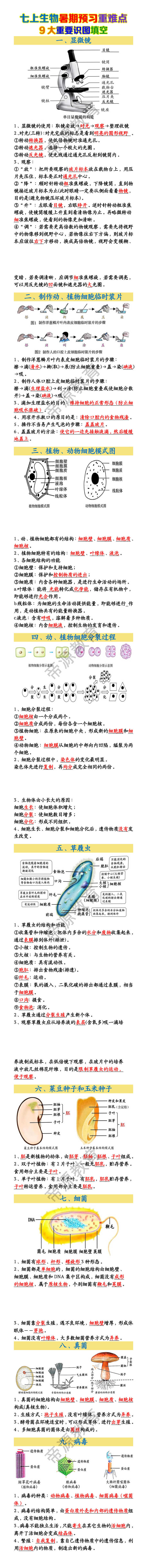 七上生物重难点9大重要识图填空 七上生物重难点9大重要识图填空