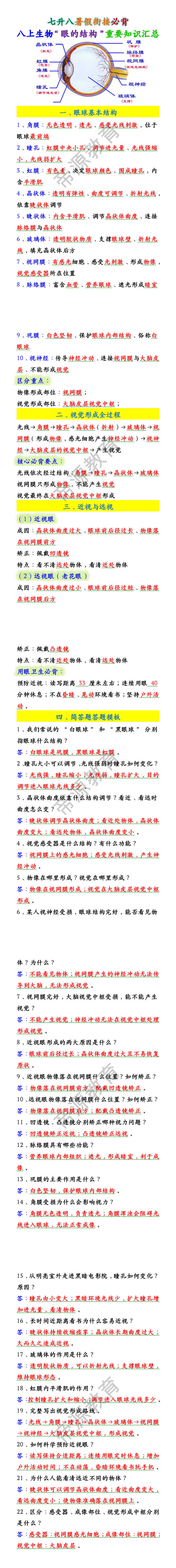 八上生物“眼的结构”重要知识汇总