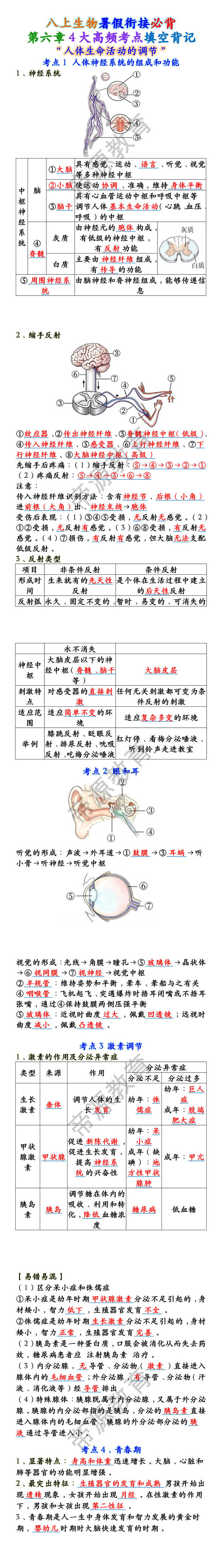 八上生物第六章4大高频考点填空背记