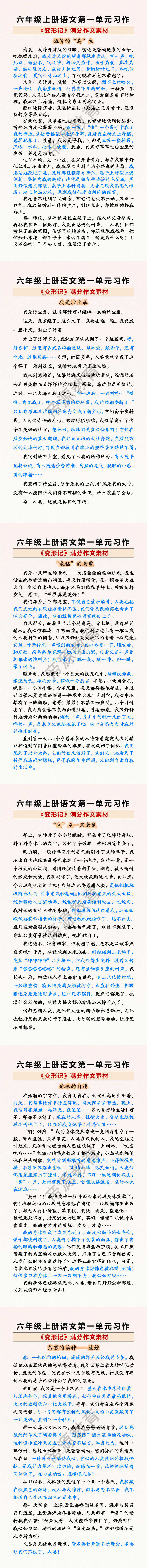 六年级上册语文第一单元习作满分作文