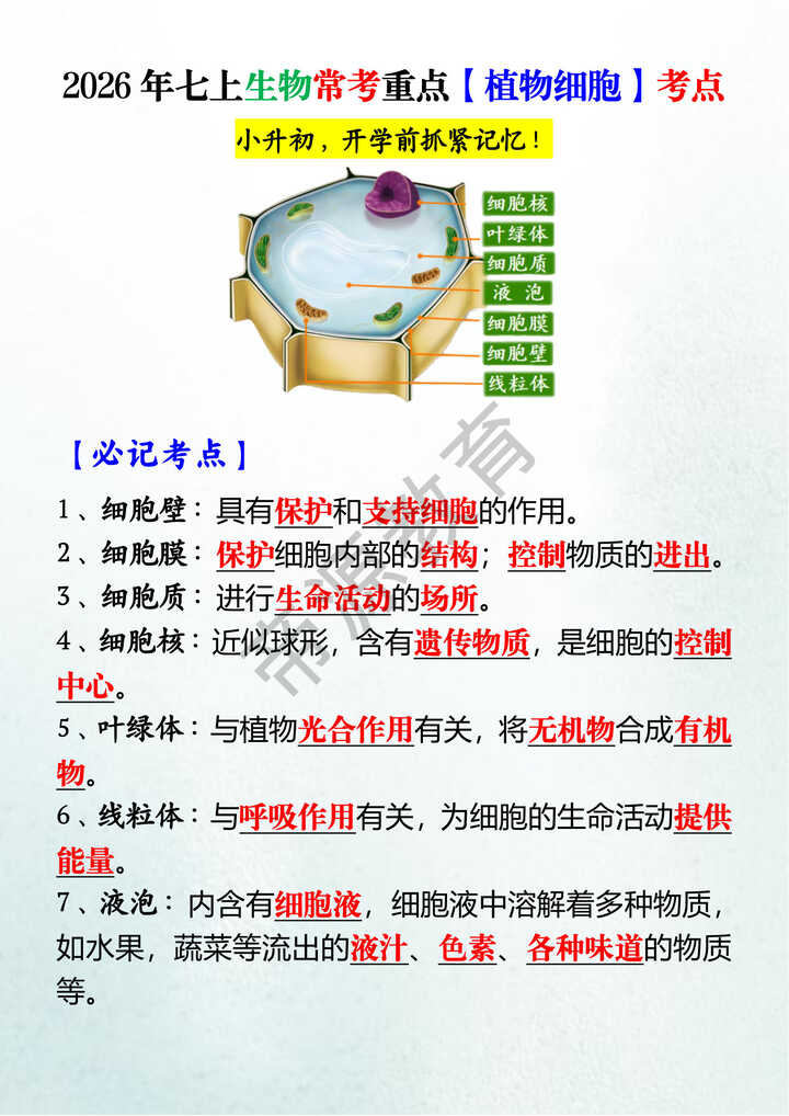 2026年七上生物常考重点【植物细胞】考点