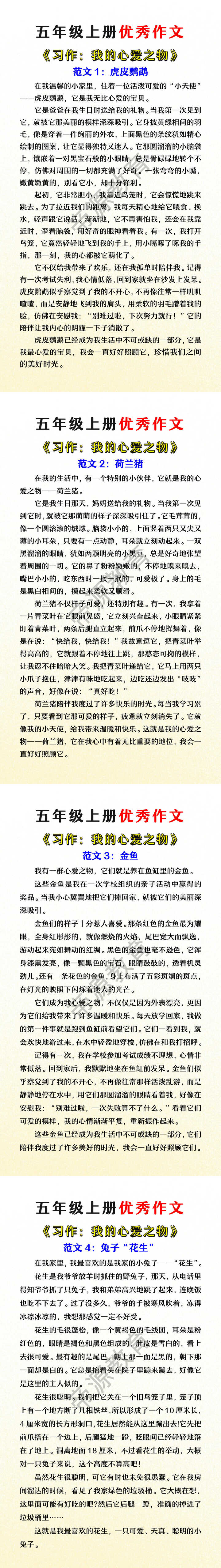 五年级上册优秀作文《我的心爱之物》 五年级上册优秀作文《我的心爱之物》