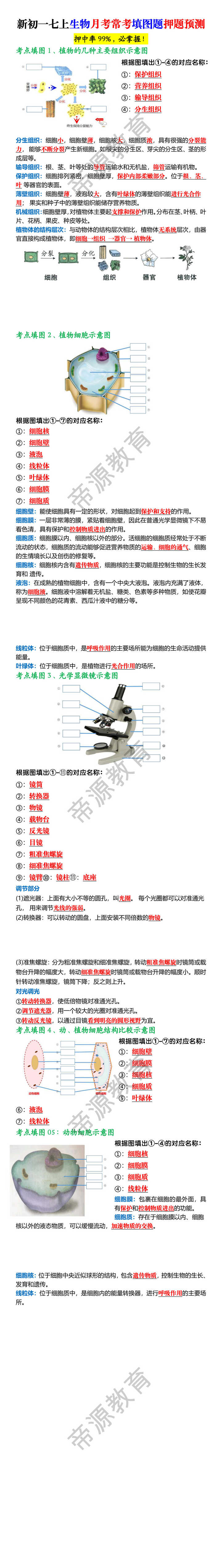 新初一七上生物月考常考填图题押题预测