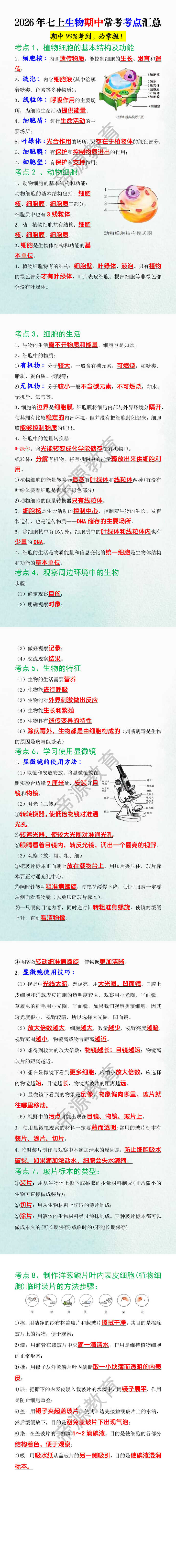 2026年七上生物期中常考考点汇总
