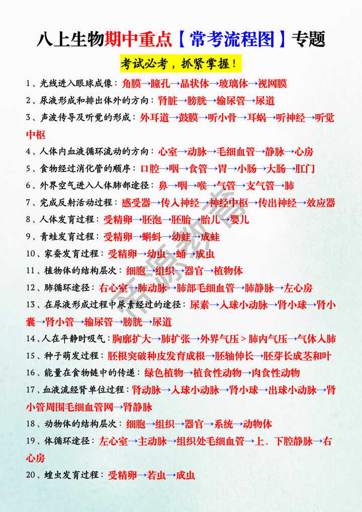 八上生物期中重点【常考流程图】专题 八上生物期中重点【常考流程图】专题