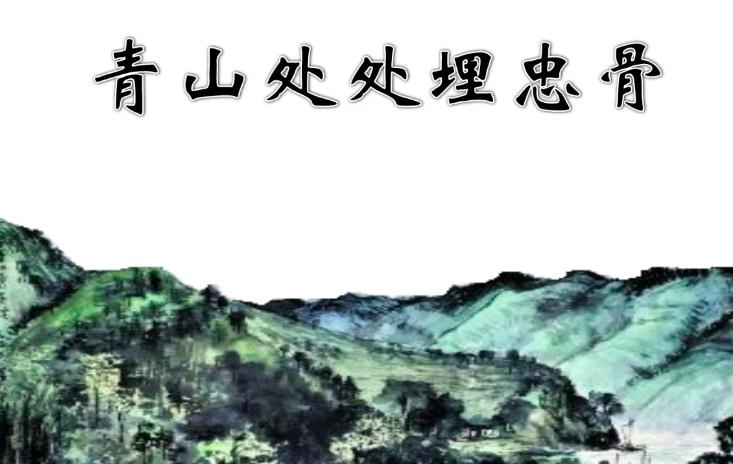 五年级下第10课青山处处埋忠骨课文复习知识点