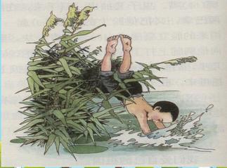 小英雄雨来（节选）课堂笔记